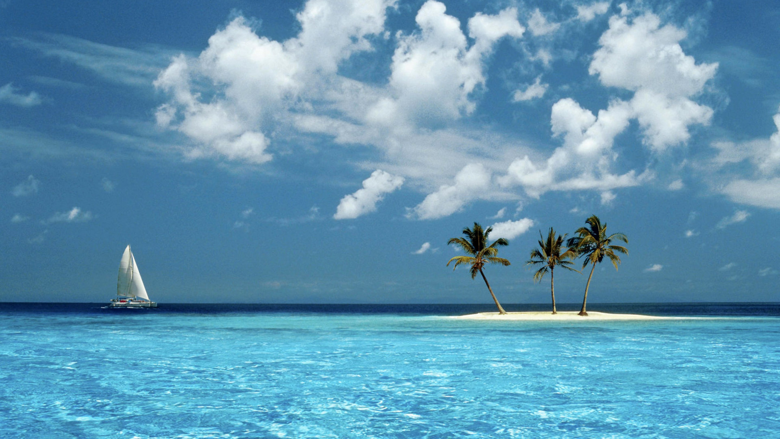 Palmera en la Playa de Arena Blanca Bajo un Cielo Azul y Nubes Blancas Durante el Día. Wallpaper in 2560x1440 Resolution