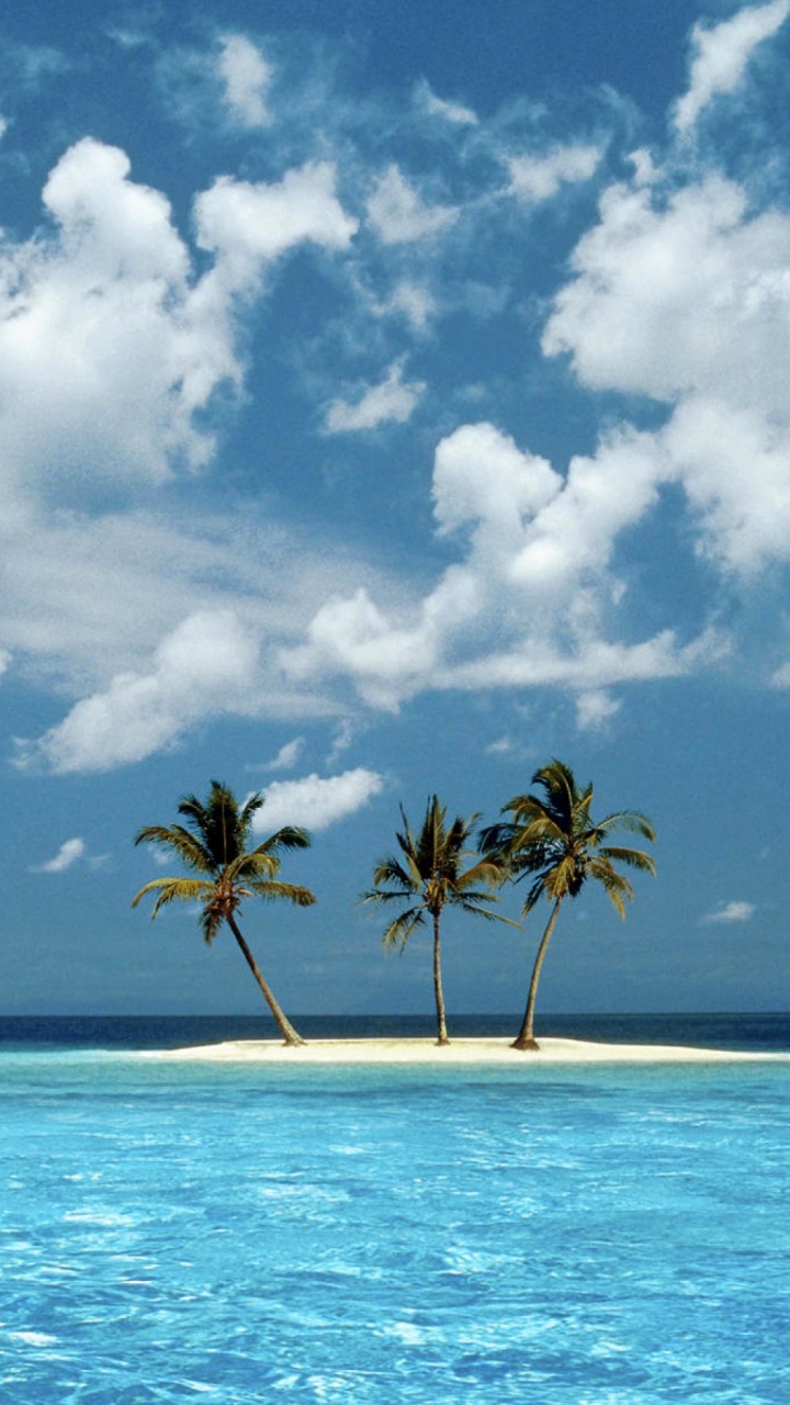 Palmera en la Playa de Arena Blanca Bajo un Cielo Azul y Nubes Blancas Durante el Día. Wallpaper in 720x1280 Resolution