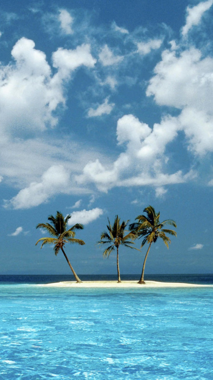 Palmera en la Playa de Arena Blanca Bajo un Cielo Azul y Nubes Blancas Durante el Día. Wallpaper in 750x1334 Resolution