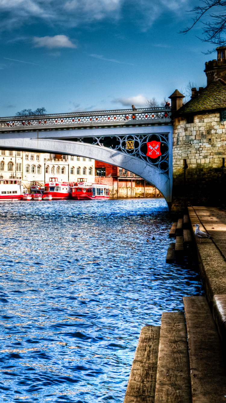 White Boat on Body of Water Under Bridge During Daytime. Wallpaper in 750x1334 Resolution