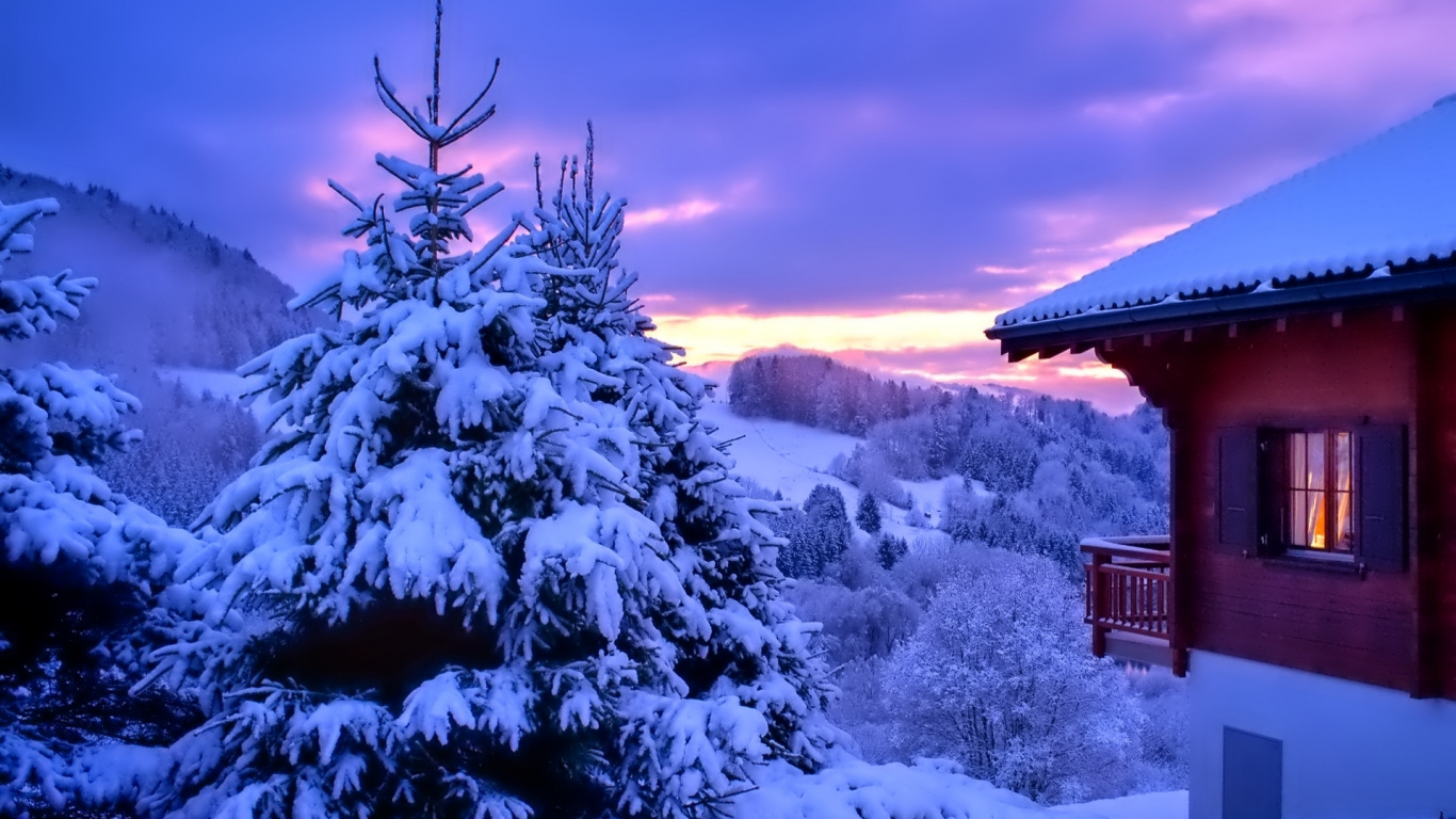 冬天, 性质, 冻结, 紫色的, 季节 壁纸 1366x768 允许