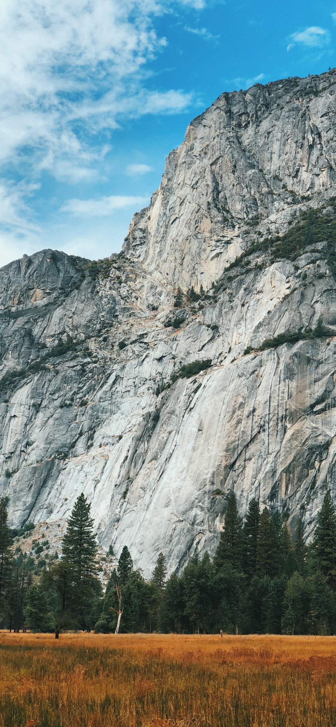 Yosemite National Park, Bergigen Landschaftsformen, Naturlandschaft, Hochland, Aufschluss. Wallpaper in 1125x2436 Resolution