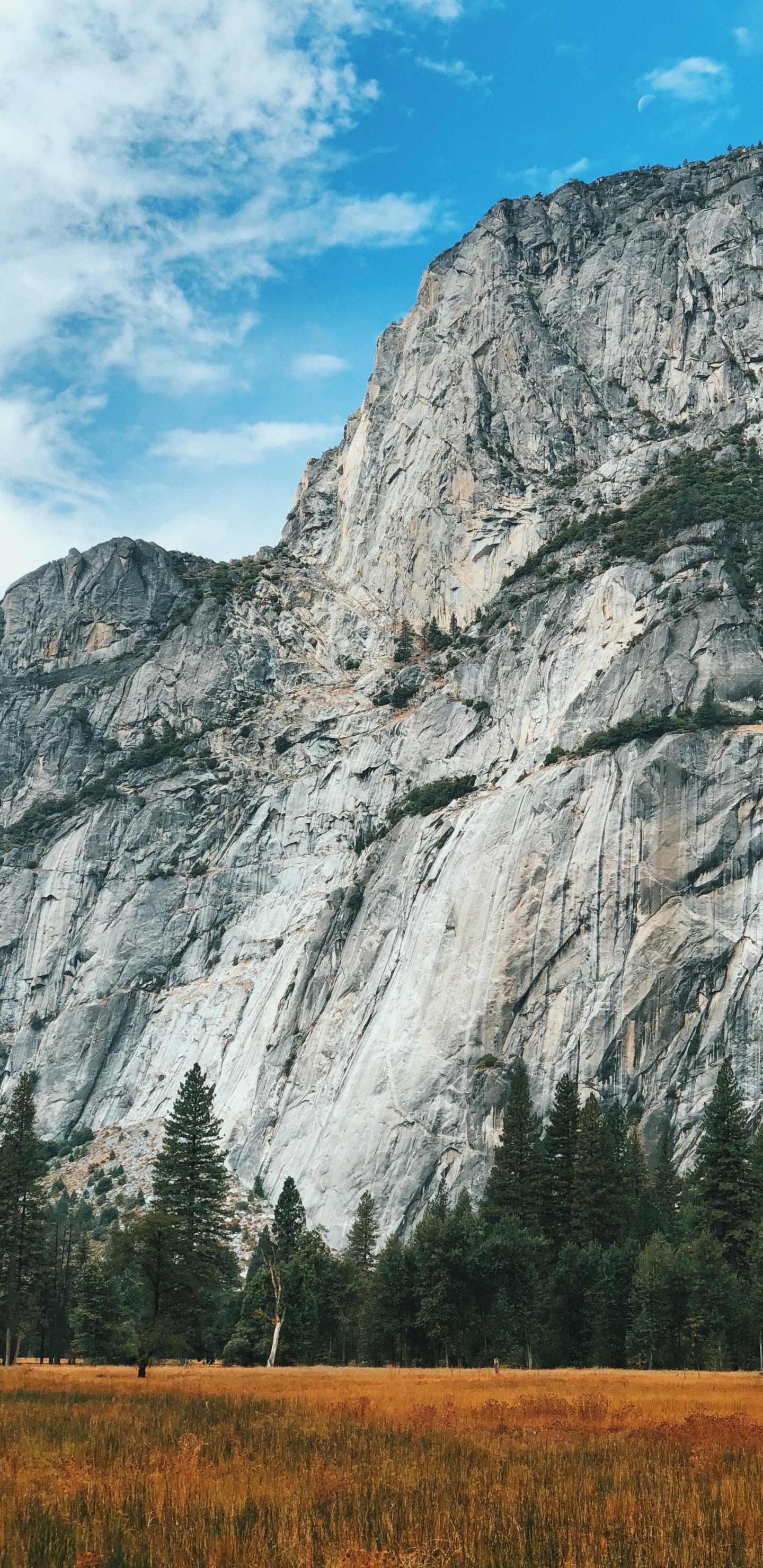 Yosemite National Park, Bergigen Landschaftsformen, Naturlandschaft, Hochland, Aufschluss. Wallpaper in 1440x2960 Resolution