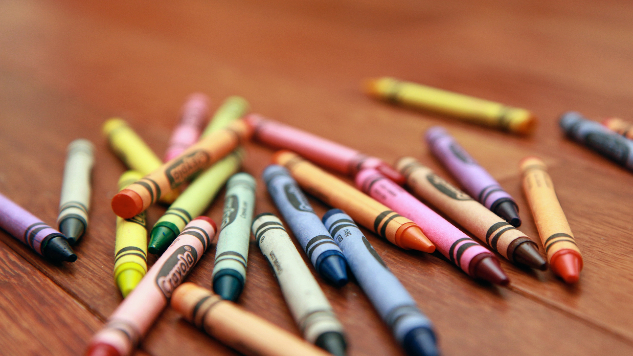 Crayons de Couleur Rouge Jaune et Bleu. Wallpaper in 2560x1440 Resolution