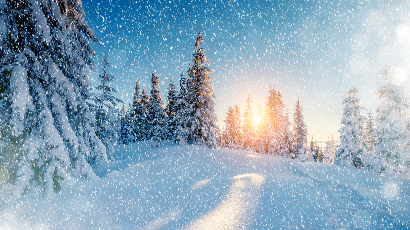 Snow Covered Trees During Night Time. Wallpaper in 1366x768 Resolution