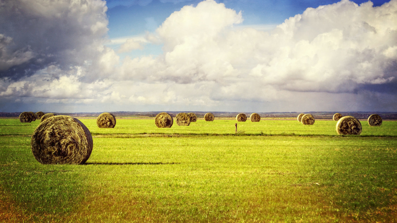 Brown Hays on Green Grass Field Under White Clouds and Blue Sky During Daytime. Wallpaper in 1366x768 Resolution