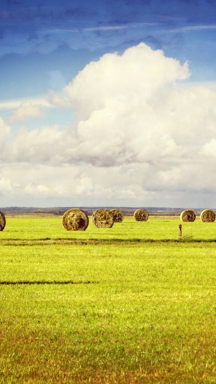 Brown Hays on Green Grass Field Under White Clouds and Blue Sky During Daytime. Wallpaper in 750x1334 Resolution