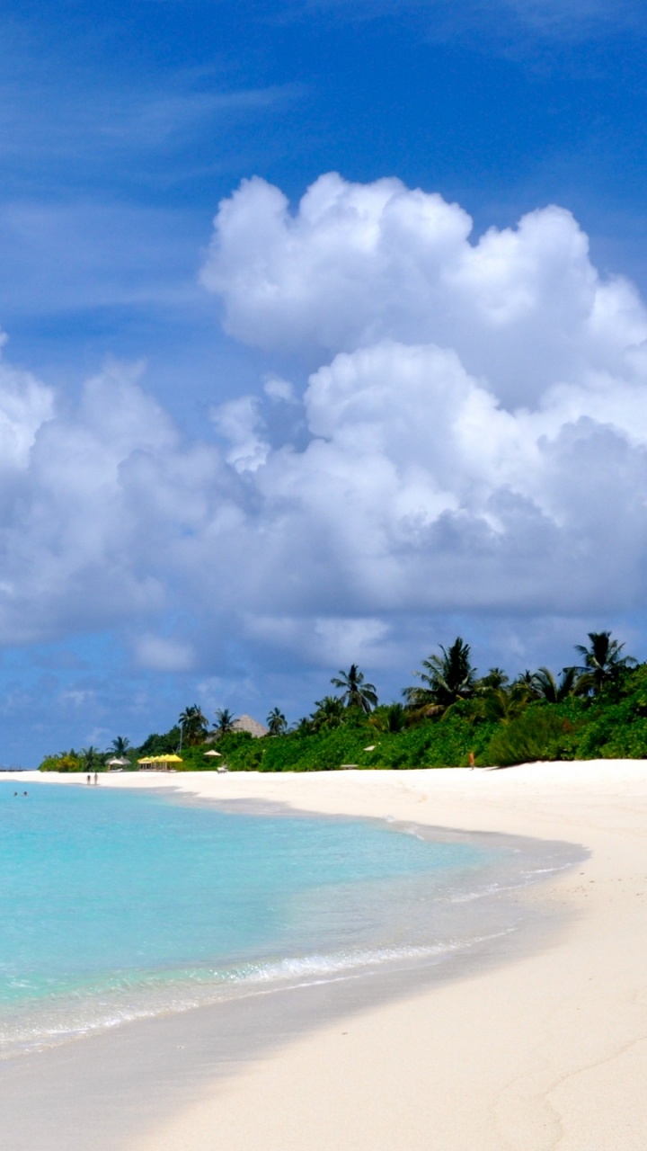 Plage de Sable Blanc Avec Des Arbres Verts Sous Ciel Bleu et Nuages Blancs Pendant la Journée. Wallpaper in 720x1280 Resolution