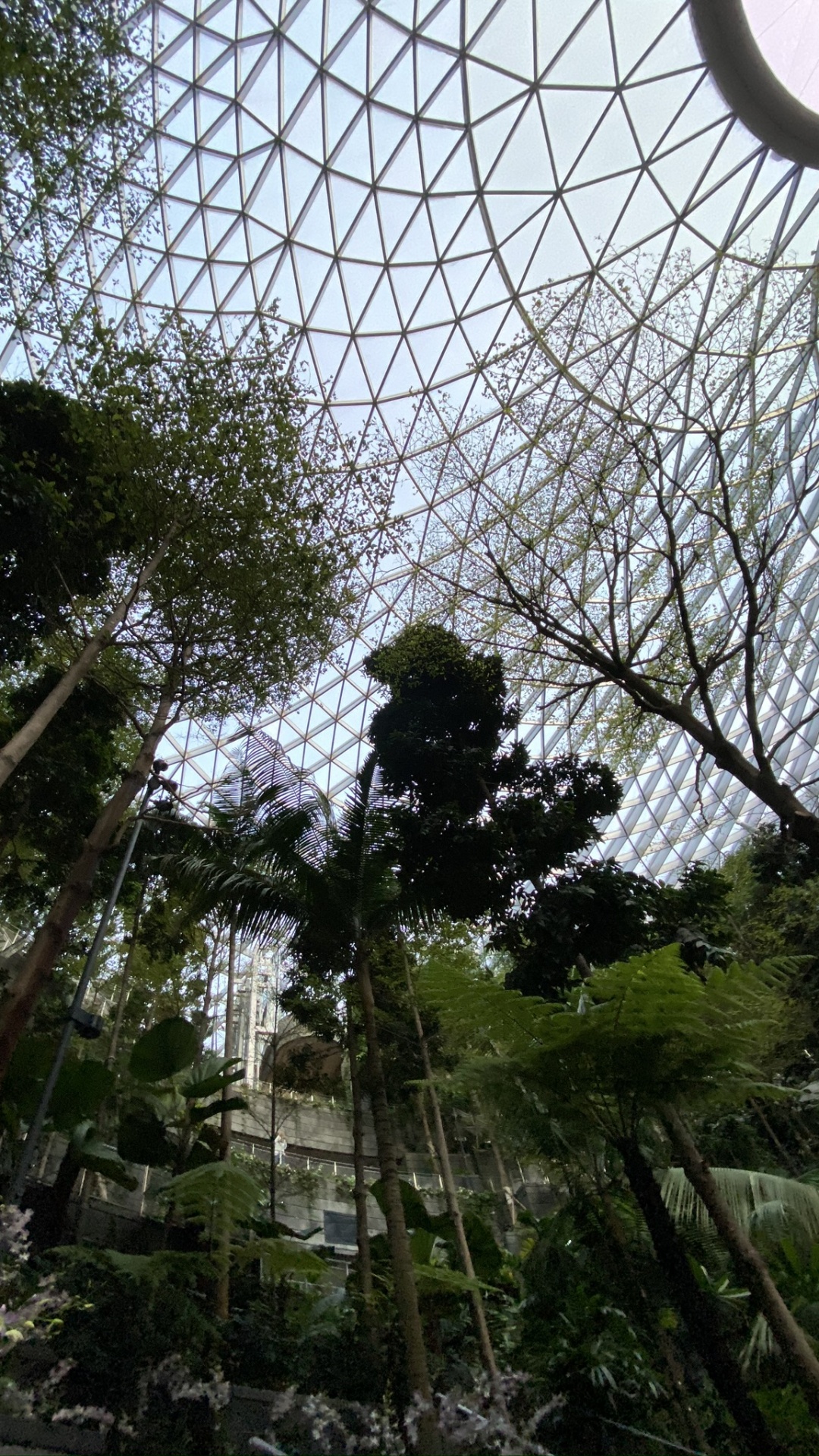 Attraction Touristique, Maille, Botanique, Plante Terrestre, Biome. Wallpaper in 1080x1920 Resolution