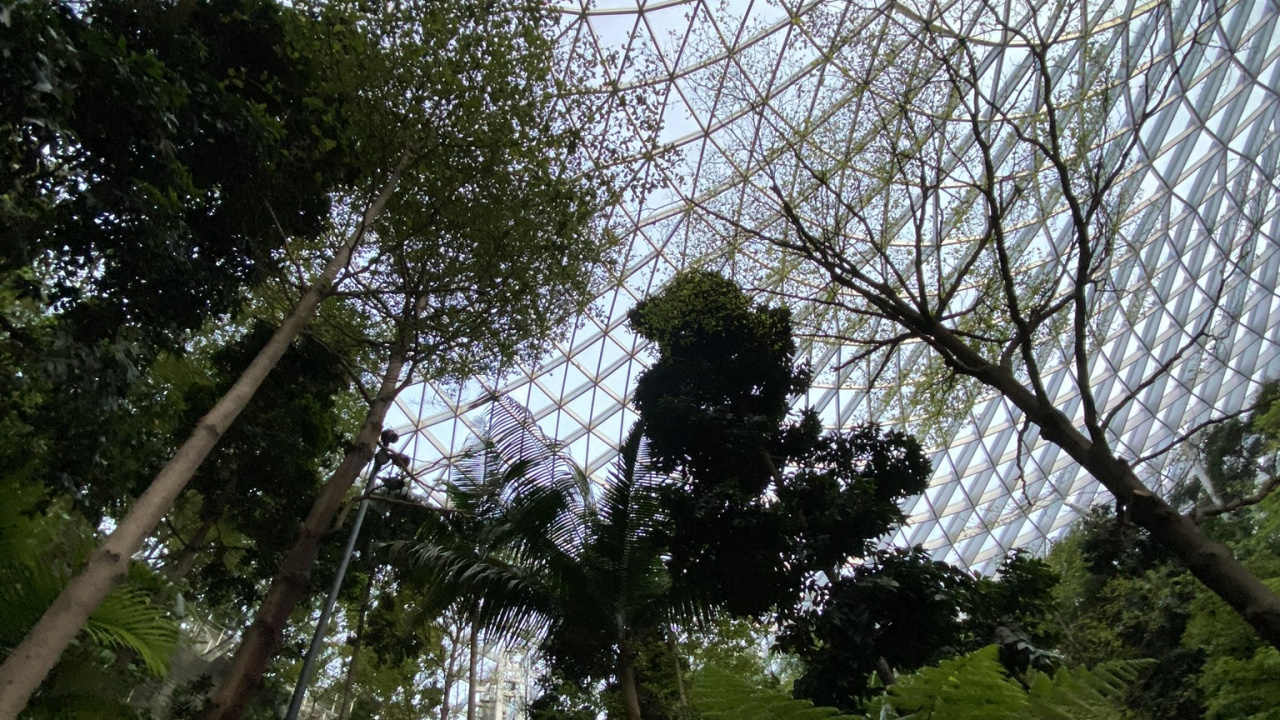 Attraction Touristique, Maille, Botanique, Plante Terrestre, Biome. Wallpaper in 1280x720 Resolution