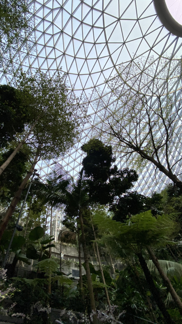 Attraction Touristique, Maille, Botanique, Plante Terrestre, Biome. Wallpaper in 750x1334 Resolution