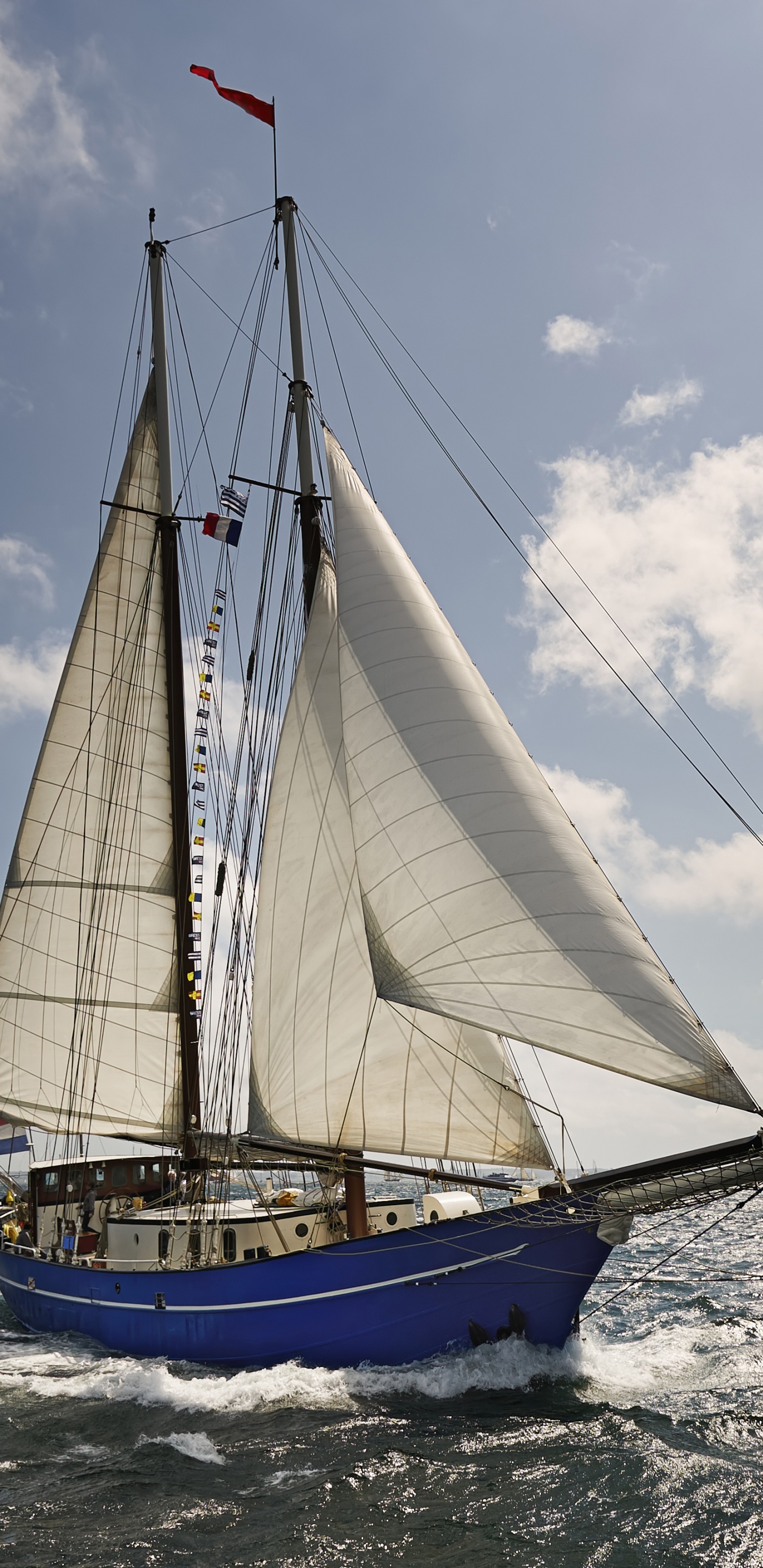 White and Blue Sail Boat on Sea During Daytime. Wallpaper in 1440x2960 Resolution