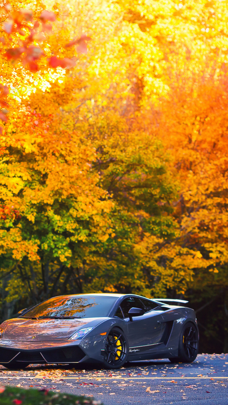 Coche Negro Estacionado Cerca de Árboles de Hojas de Naranja Durante el Día. Wallpaper in 750x1334 Resolution