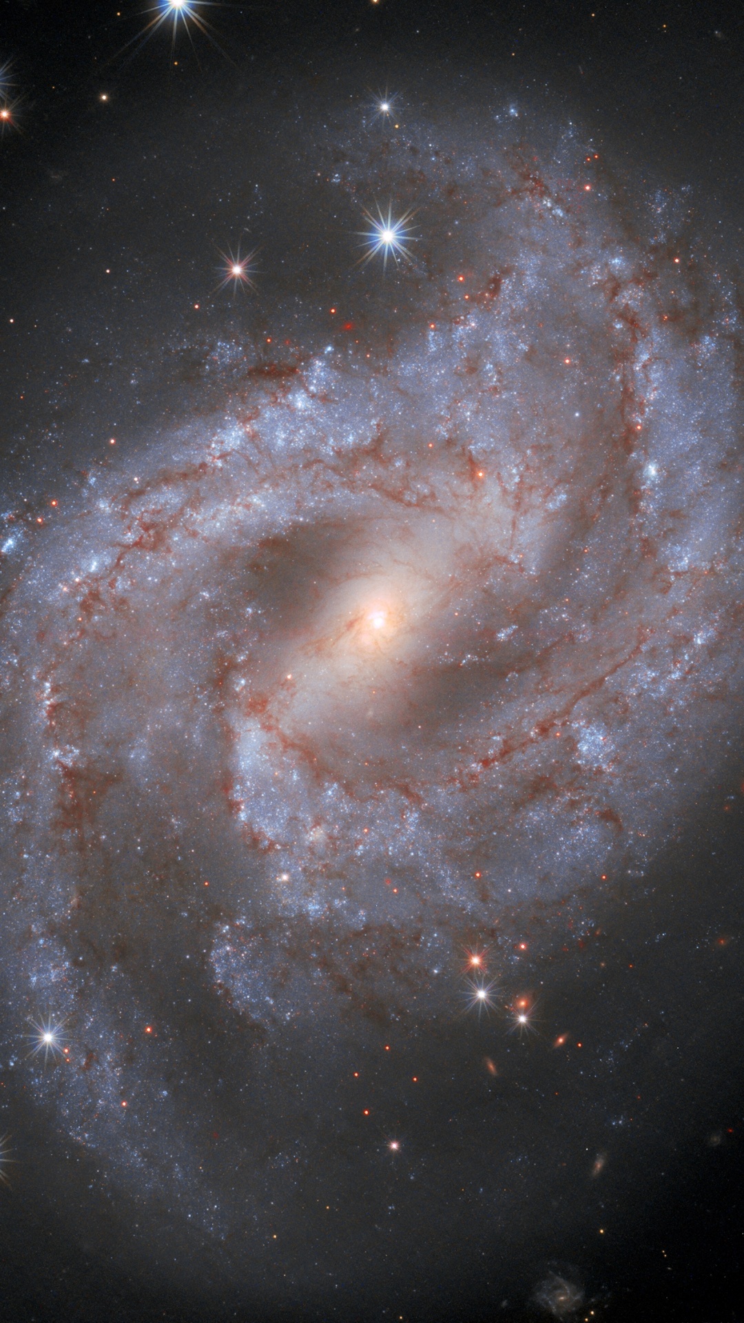 Ngc2525, 螺旋星系, 超新星, 明星, 天文学 壁纸 1080x1920 允许