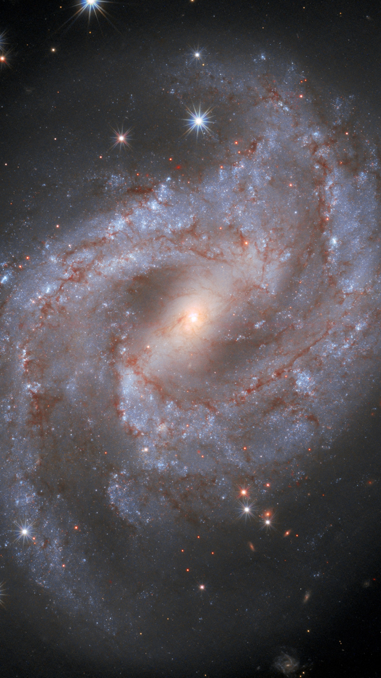 Ngc 2525, Galaxy, Spiral Galaxy, Supernova, Star. Wallpaper in 750x1334 Resolution