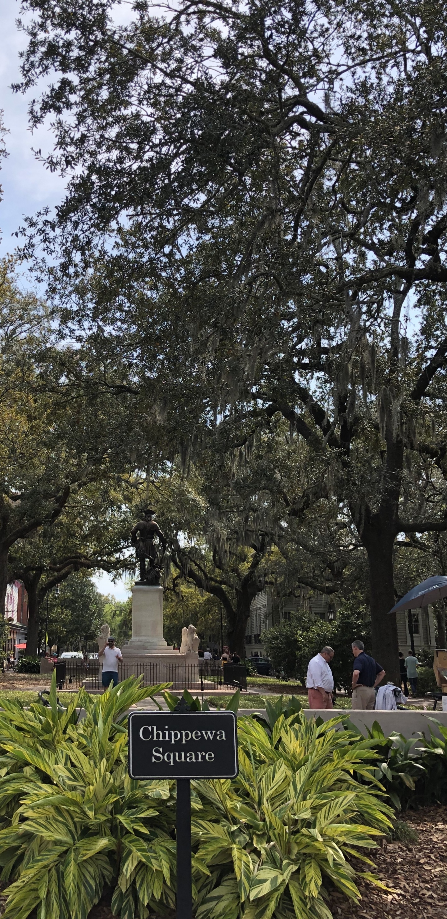 Blatt, Wissenschaft, Branch, Staude, Garden. Wallpaper in 1440x2960 Resolution