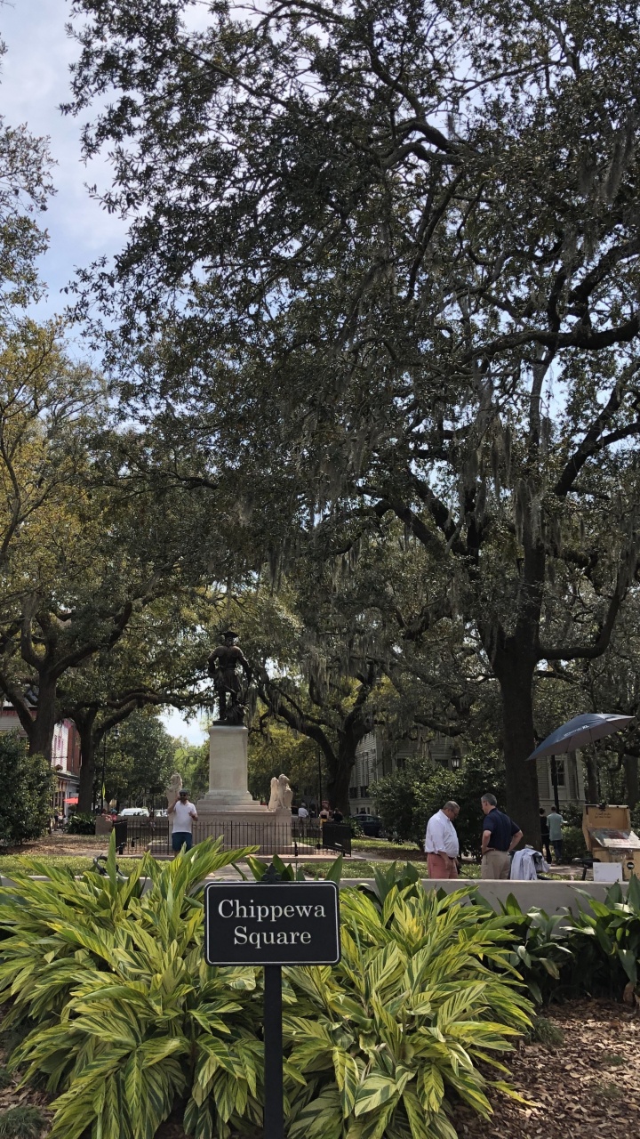 Ciencia, Sucursal, Arbusto, Jardin, Planta Leñosa. Wallpaper in 720x1280 Resolution