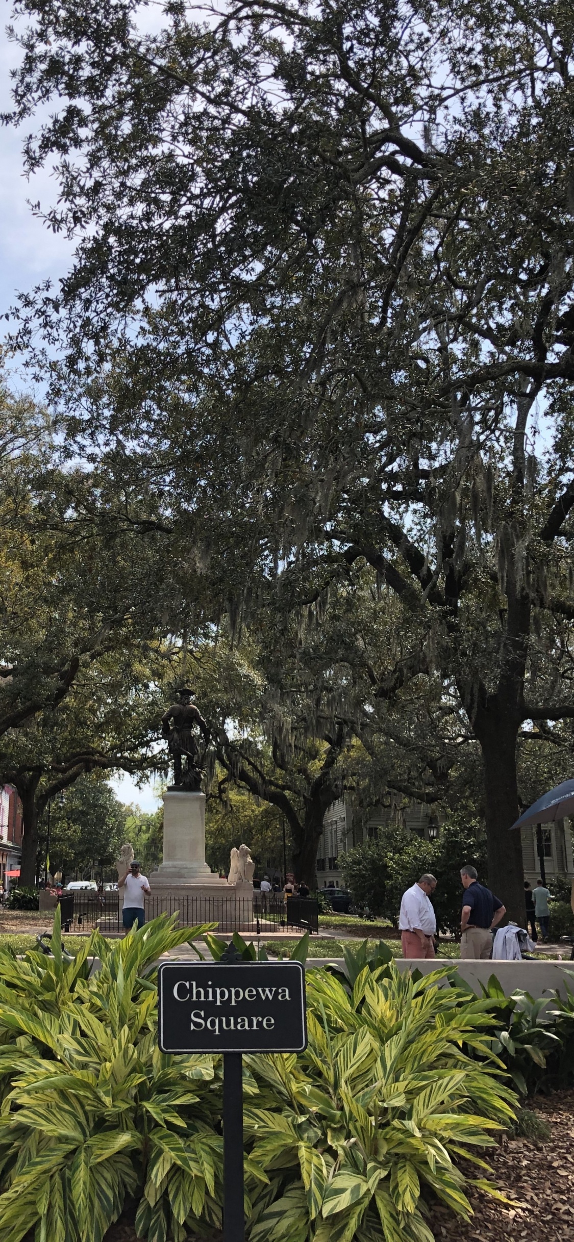 Leaf, Science, Plant, Branch, Shrub. Wallpaper in 1125x2436 Resolution