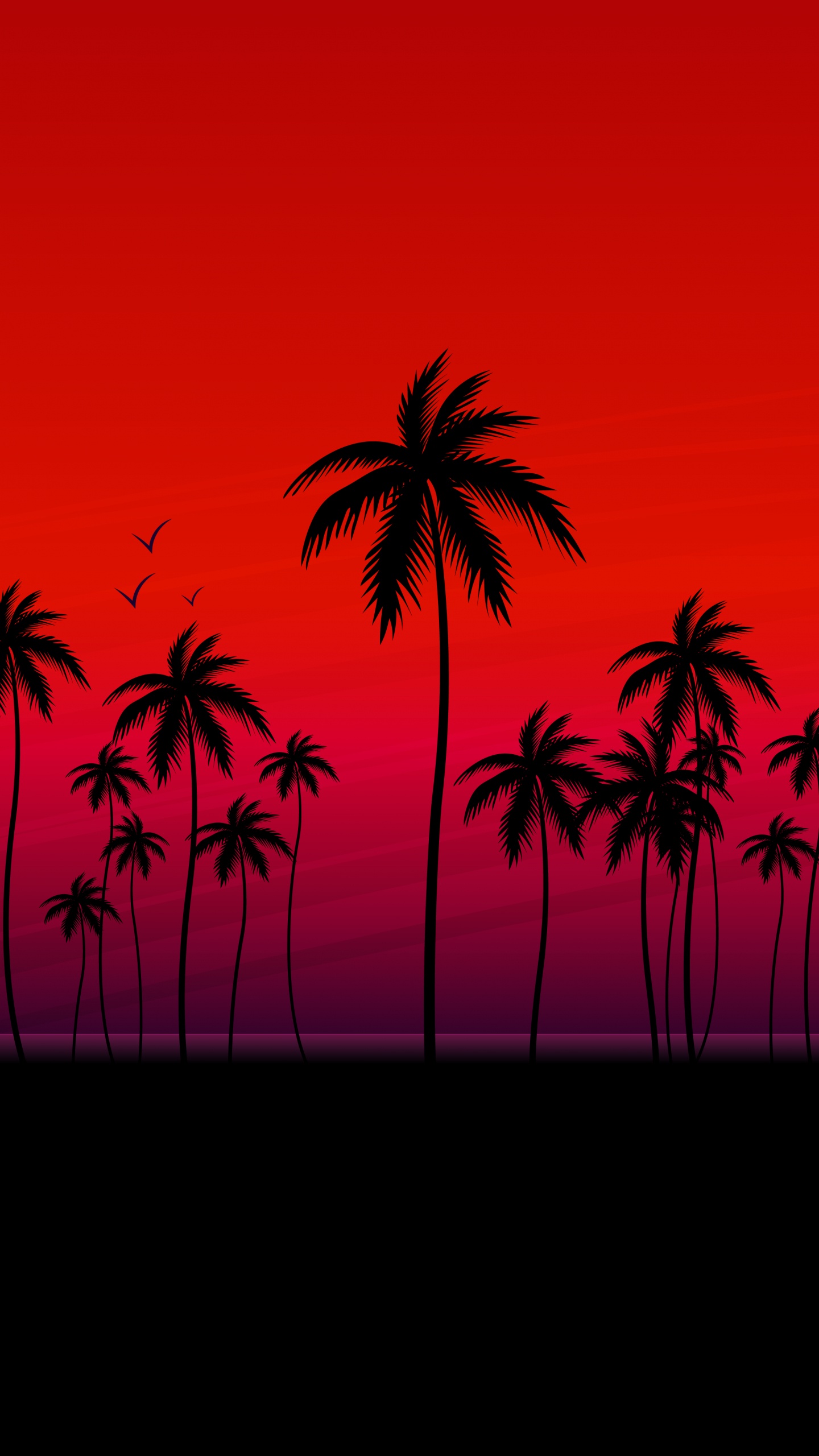Palm Trees, Coconut, Silhouette, Orange, Woody Plant. Wallpaper in 1440x2560 Resolution