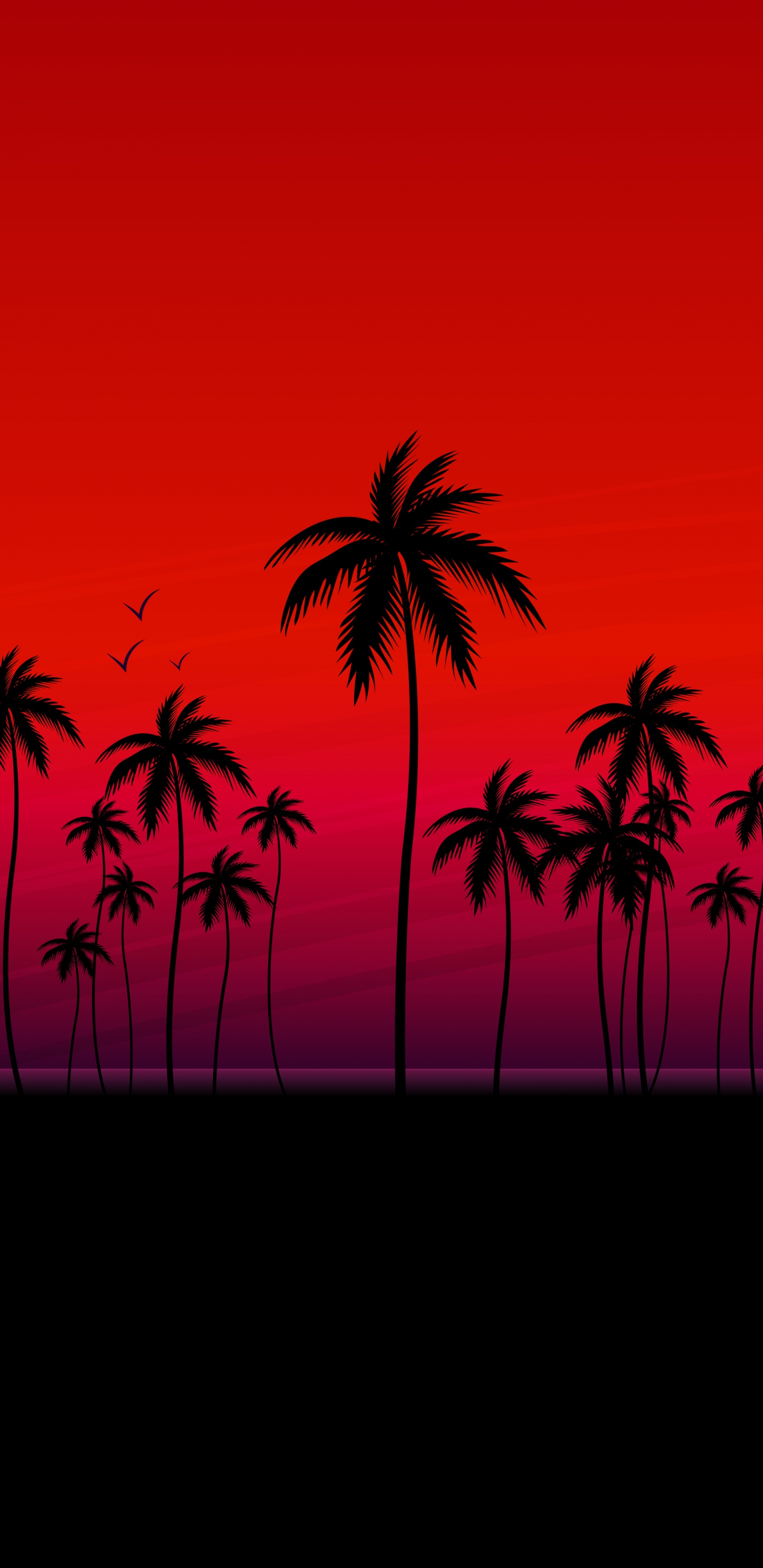 Palmier, Coco, Silhouette, Orange, Plantes Ligneuses. Wallpaper in 1440x2960 Resolution