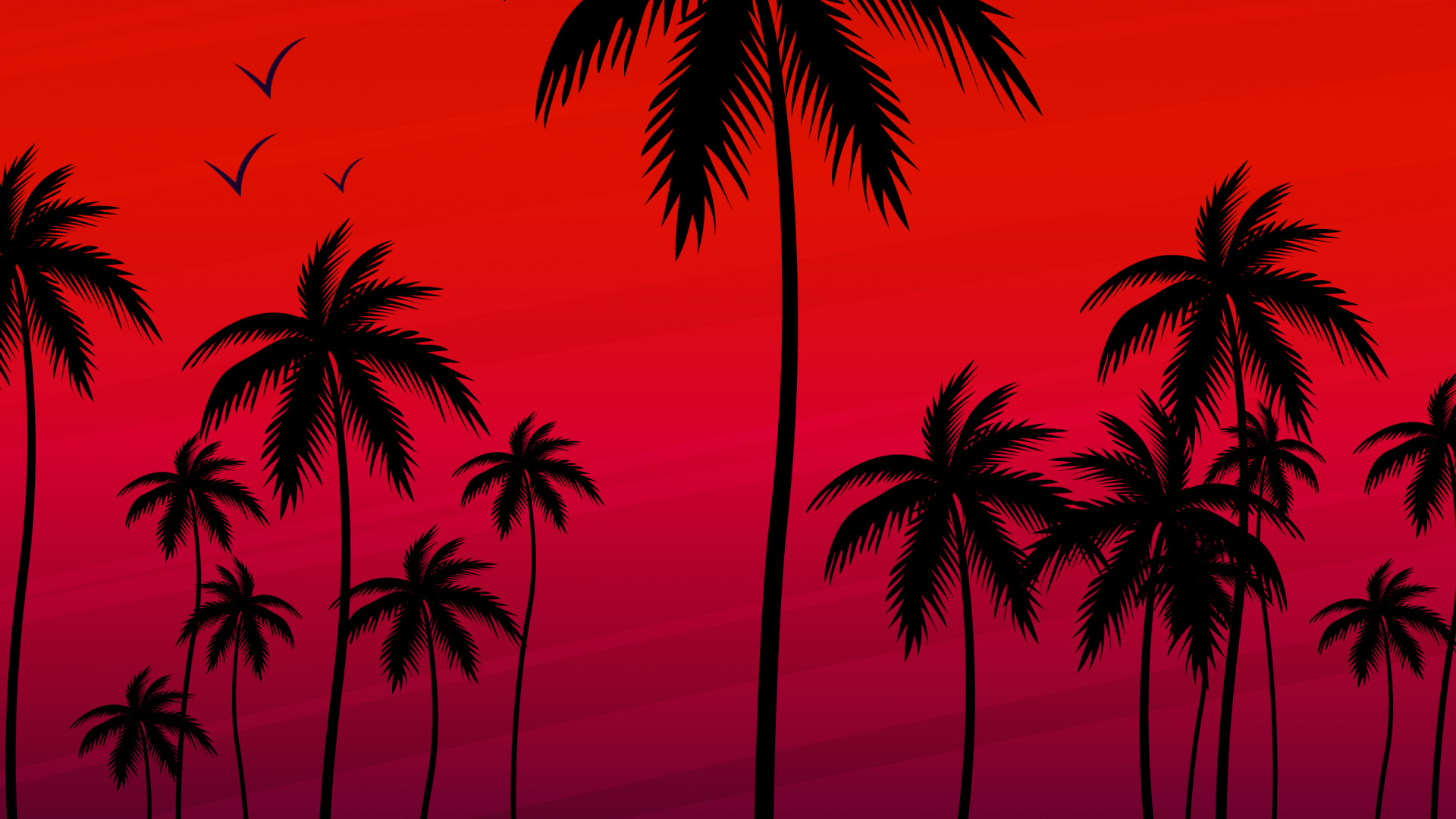 Palmier, Coco, Silhouette, Orange, Plantes Ligneuses. Wallpaper in 1920x1080 Resolution