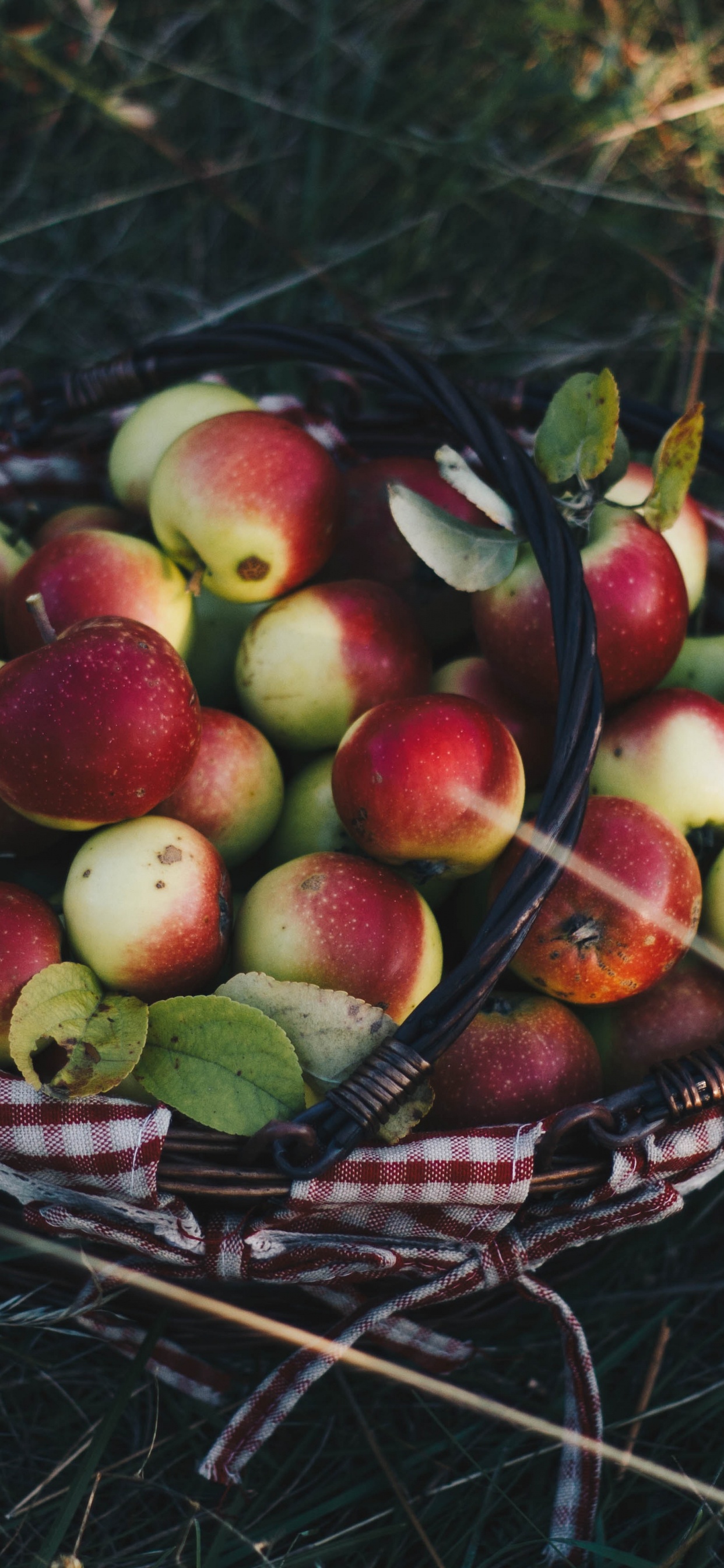 Red and Green Apples on Brown Woven Basket. Wallpaper in 1242x2688 Resolution