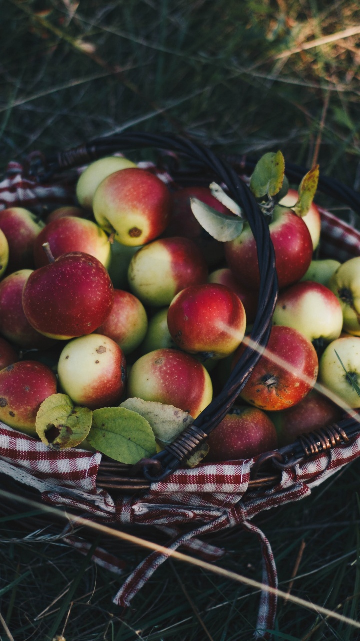 Red and Green Apples on Brown Woven Basket. Wallpaper in 720x1280 Resolution