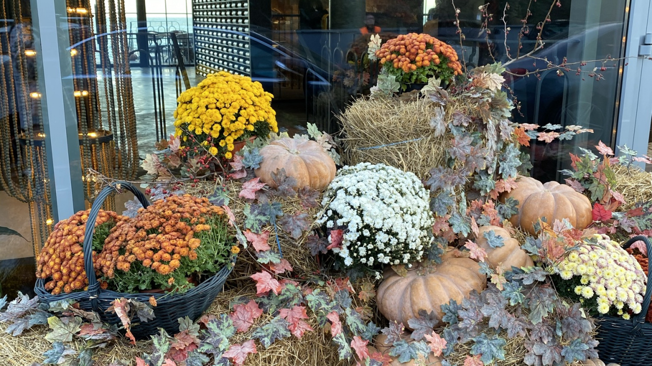 壁球, Calabaza, 冬南瓜, 产生, 天然的食物 壁纸 1280x720 允许