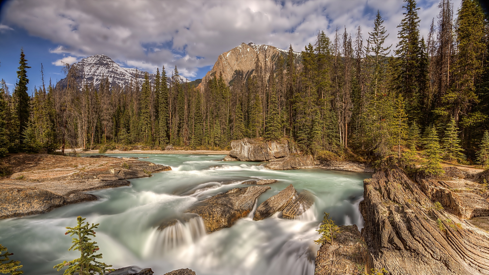 Green Pine Trees Near River During Daytime. Wallpaper in 1920x1080 Resolution