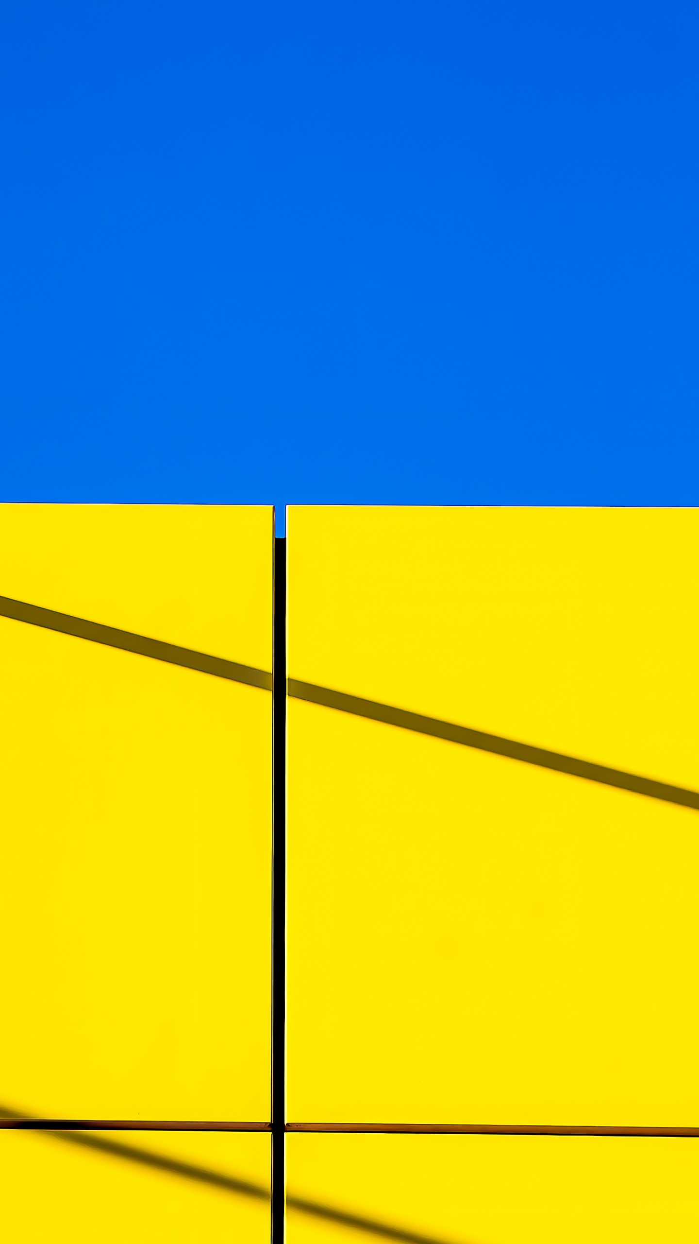 Senf-pflanze, Farbigkeit, Gelb, Rechteck, Piste. Wallpaper in 1440x2560 Resolution