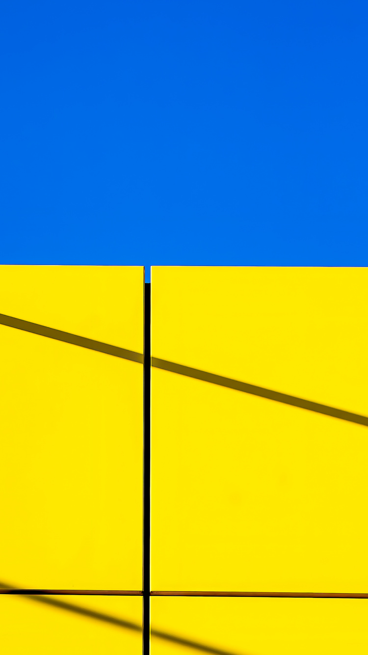 Senf-pflanze, Farbigkeit, Gelb, Rechteck, Piste. Wallpaper in 750x1334 Resolution