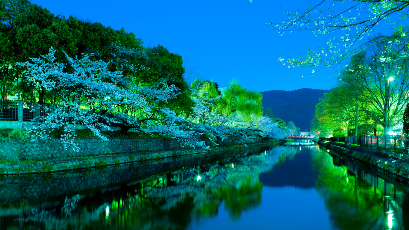 Green Trees Beside River Under Blue Sky During Daytime. Wallpaper in 1366x768 Resolution