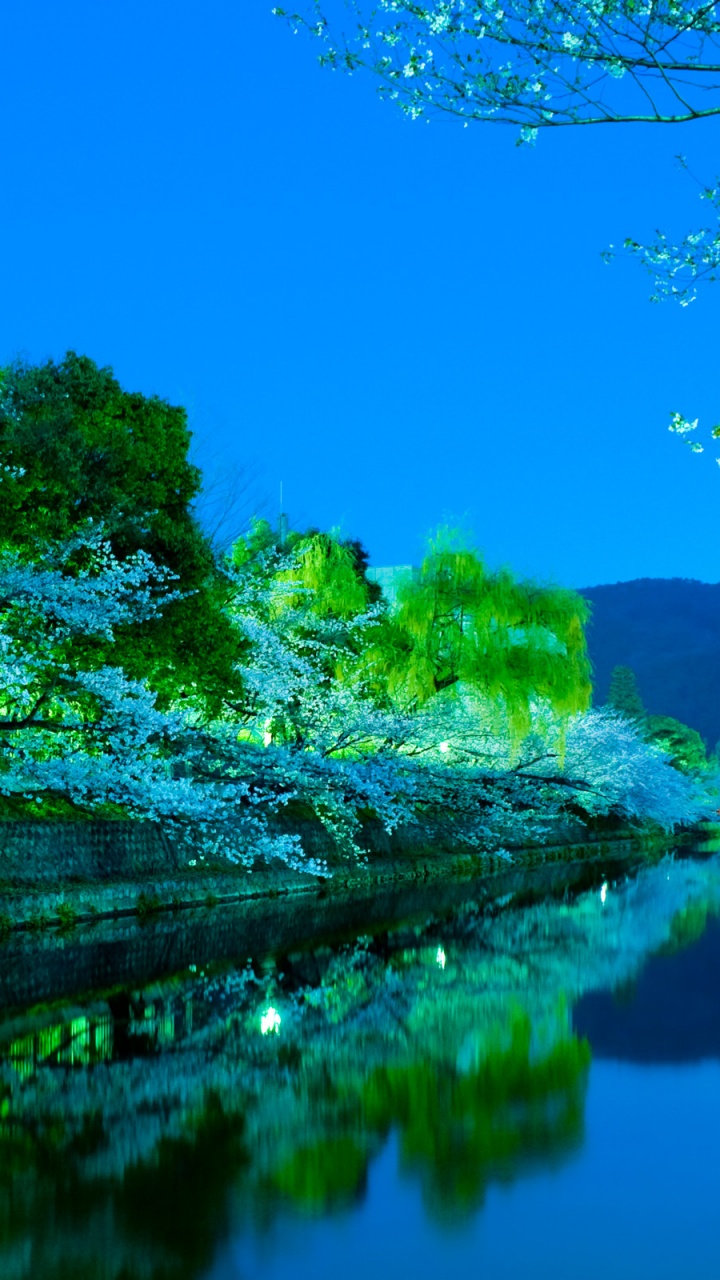Green Trees Beside River Under Blue Sky During Daytime. Wallpaper in 720x1280 Resolution