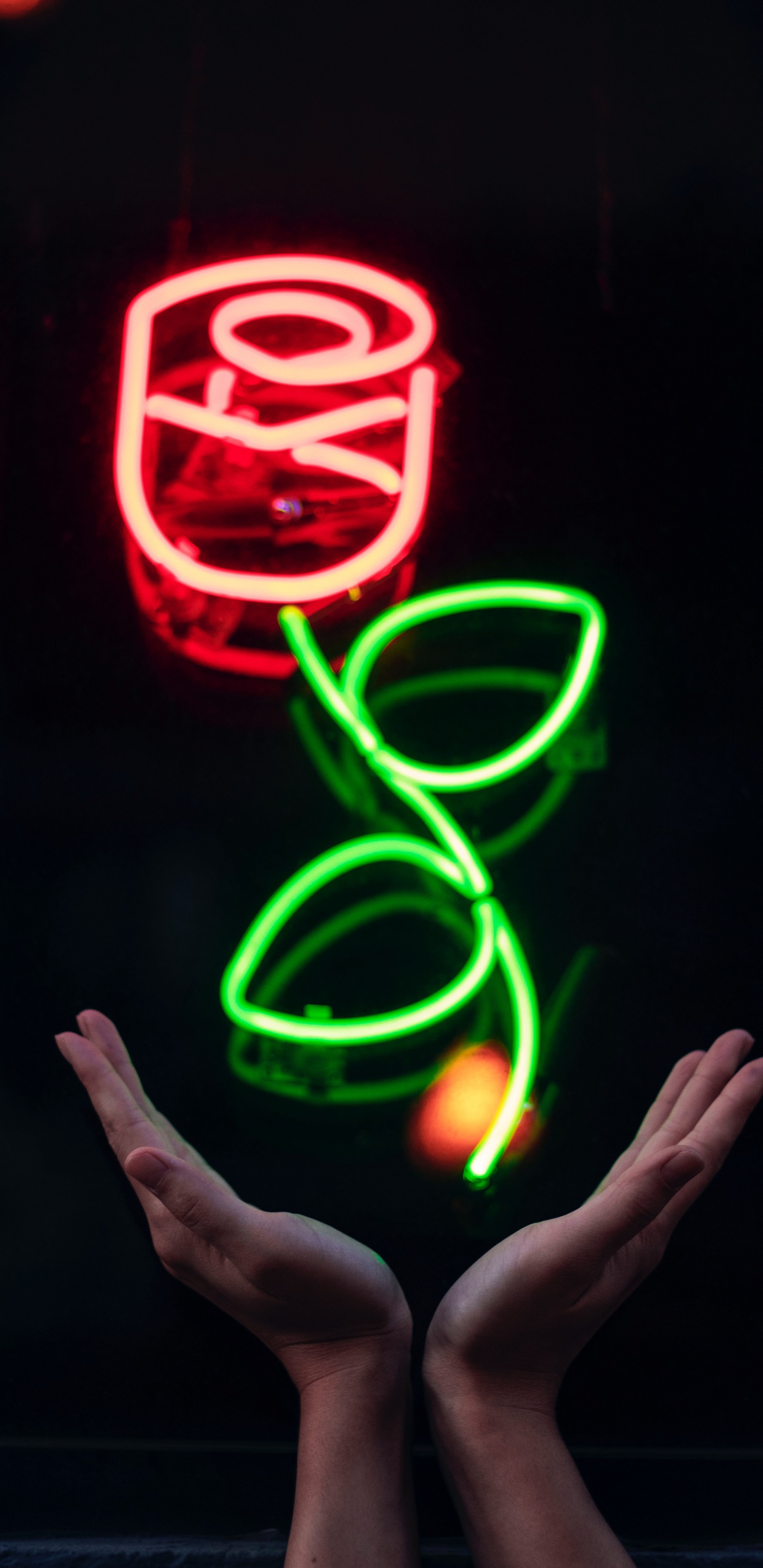 Signalisation Lumineuse au Néon D'amour Rouge et Jaune. Wallpaper in 1440x2960 Resolution