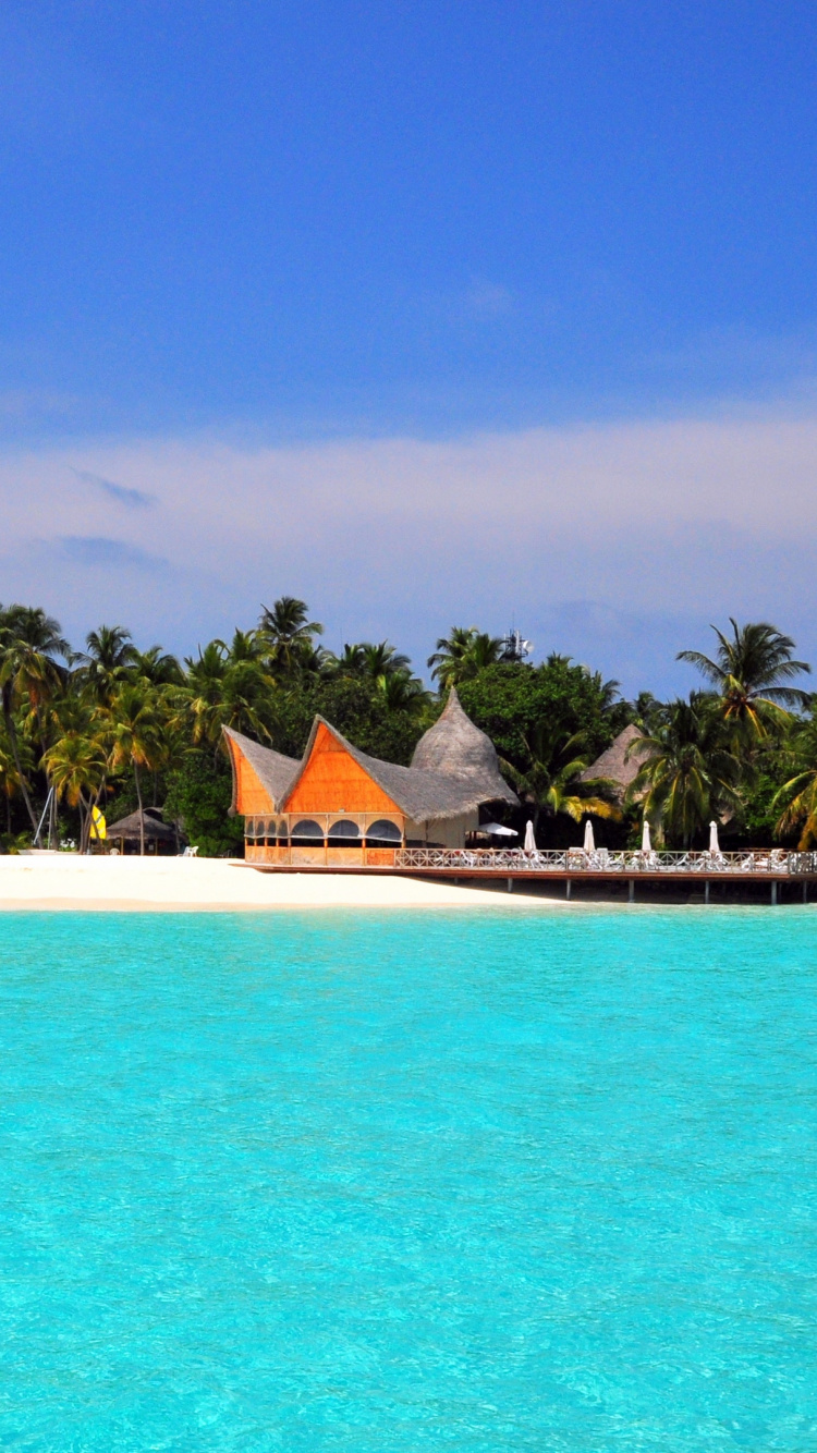 Brown and White Beach Lounge Chairs on Beach During Daytime. Wallpaper in 750x1334 Resolution