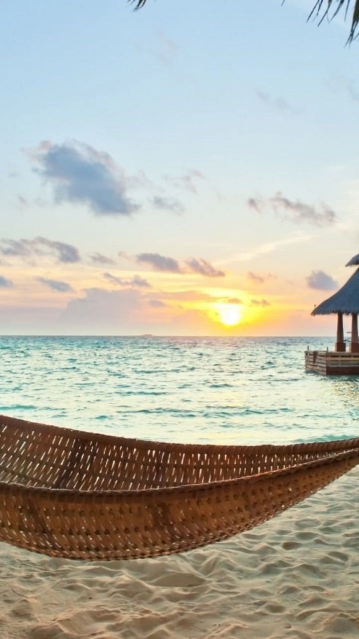 Brown Hammock on Beach During Sunset. Wallpaper in 720x1280 Resolution