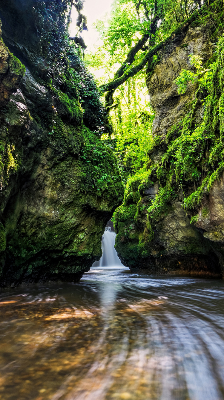 Personne en Chemise Blanche à Manches Longues Marchant Sur la Rivière Entre Les Arbres Verts Pendant la Journée. Wallpaper in 750x1334 Resolution