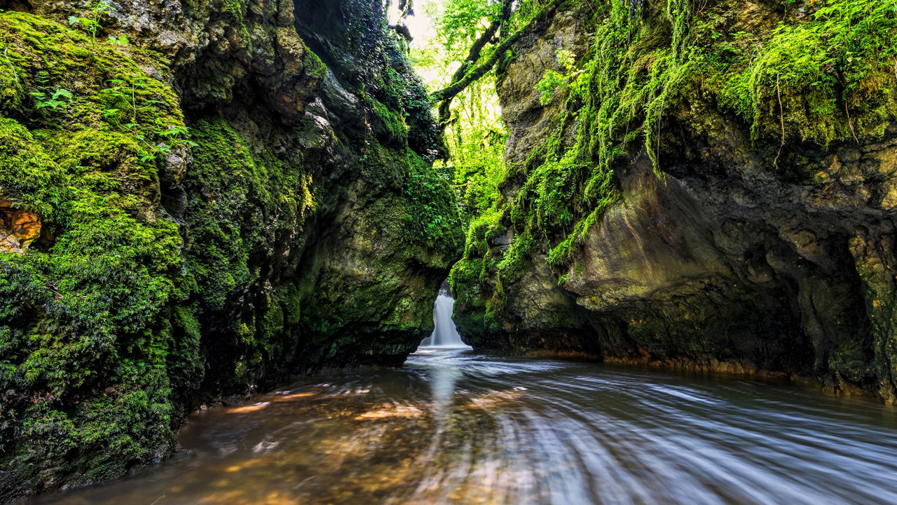 性质, 水道, 水资源, 植被, 流 壁纸 1280x720 允许