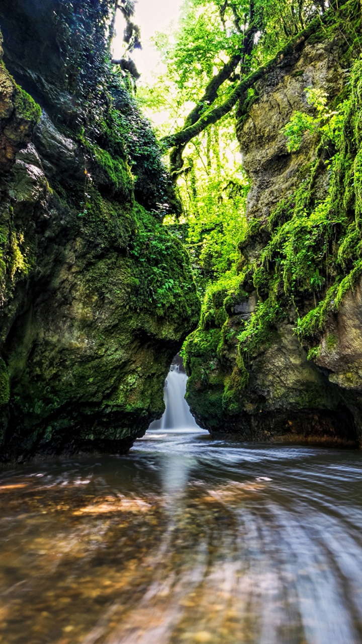性质, 水道, 水资源, 植被, 流 壁纸 720x1280 允许