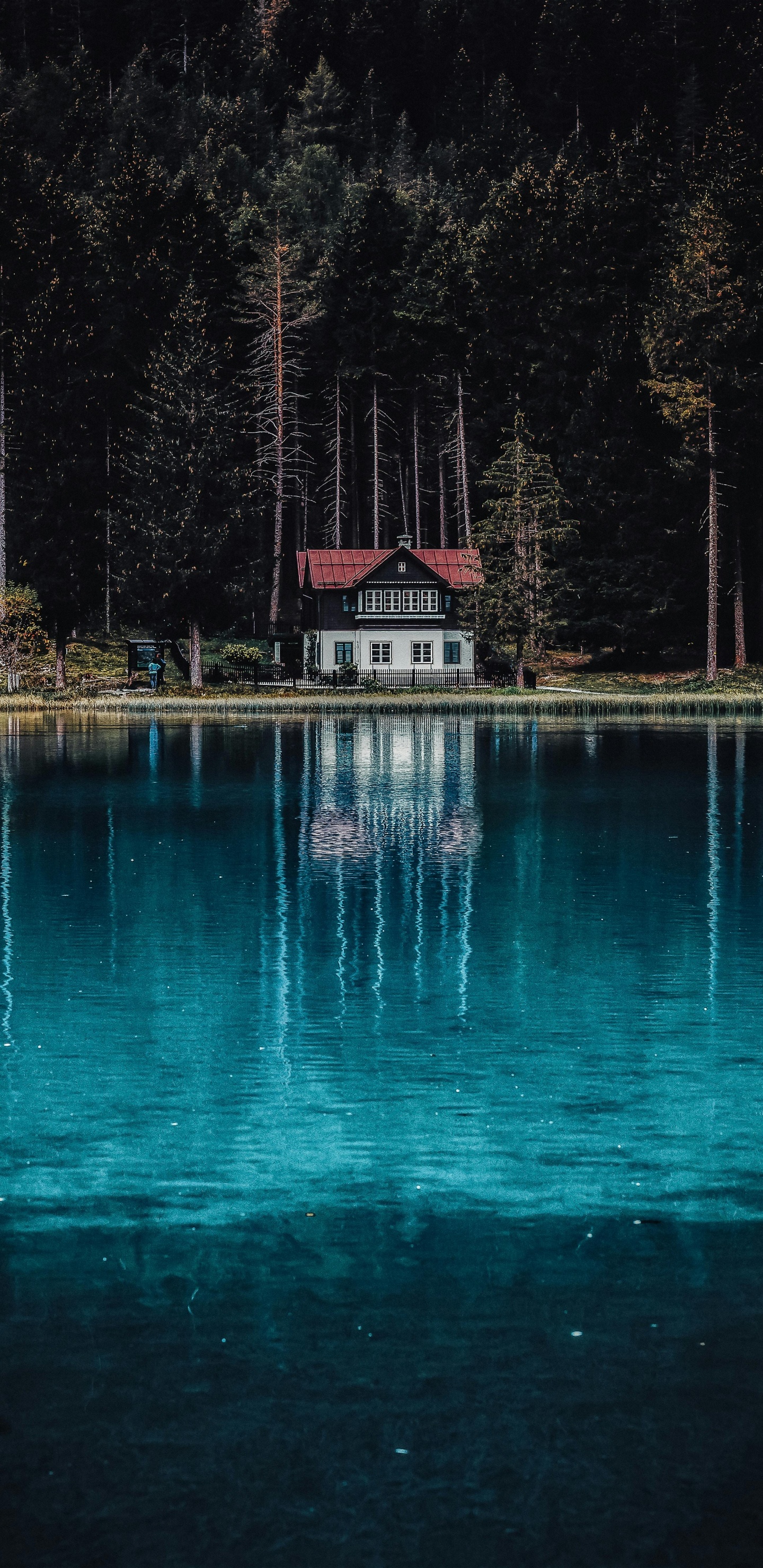 Pixel, Freepik, Portrait, Blau, Wasser. Wallpaper in 1440x2960 Resolution