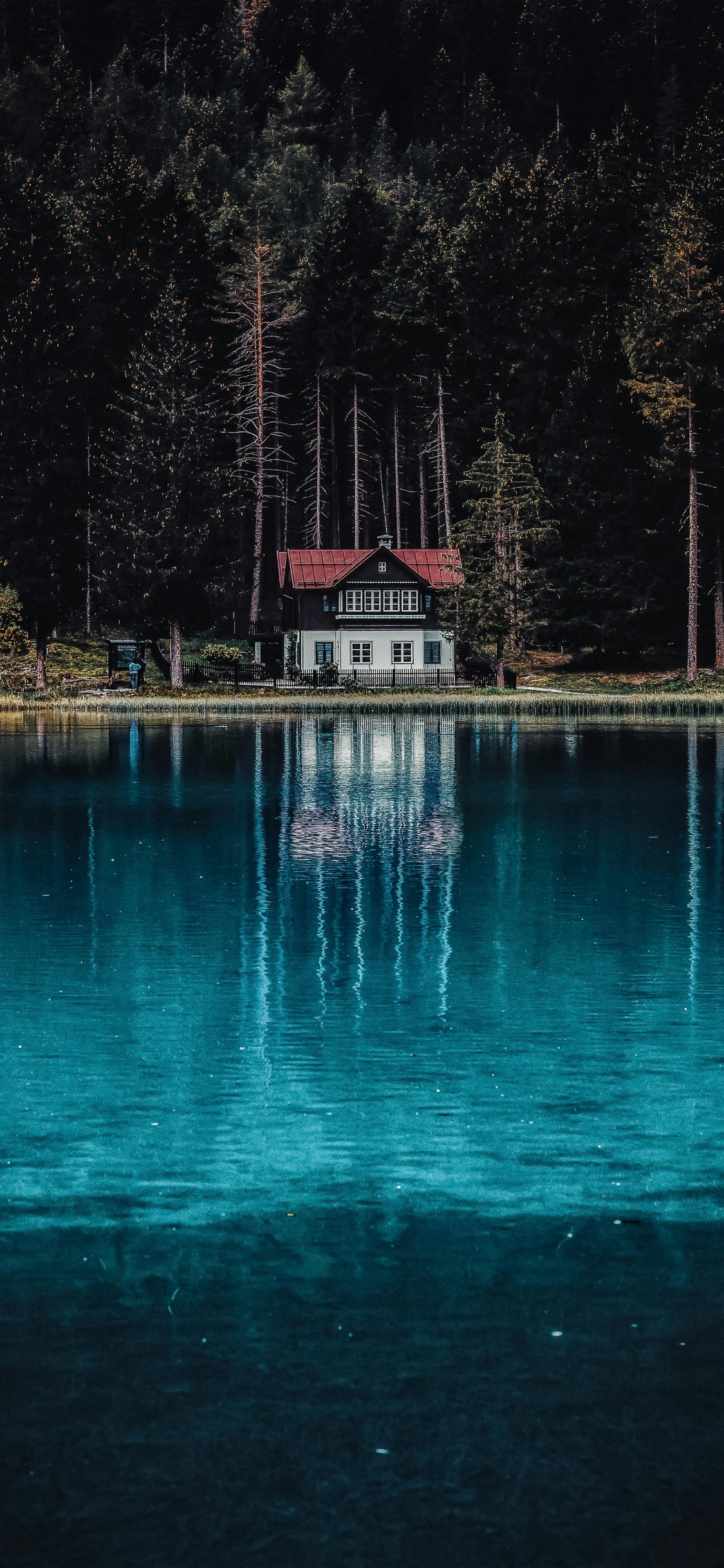 Pixel, Freepik, Portrait, Blue, Eau. Wallpaper in 1125x2436 Resolution