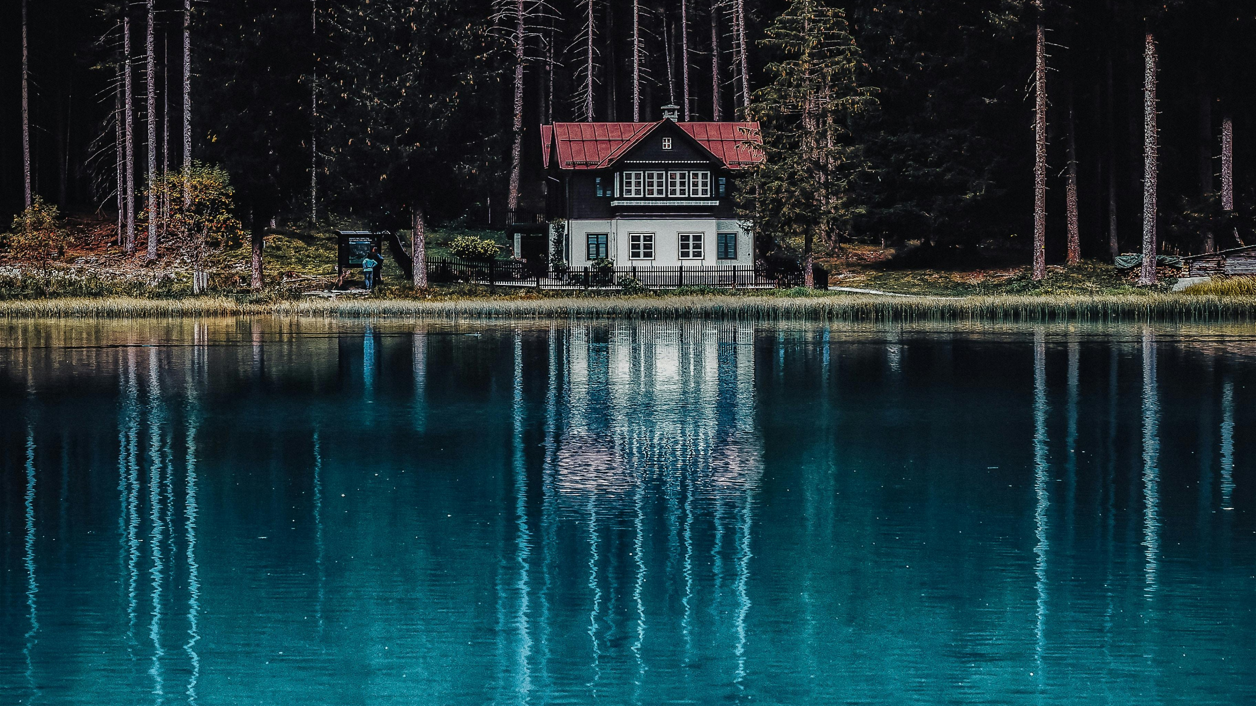 pixel, freepik, portrait, blue, water