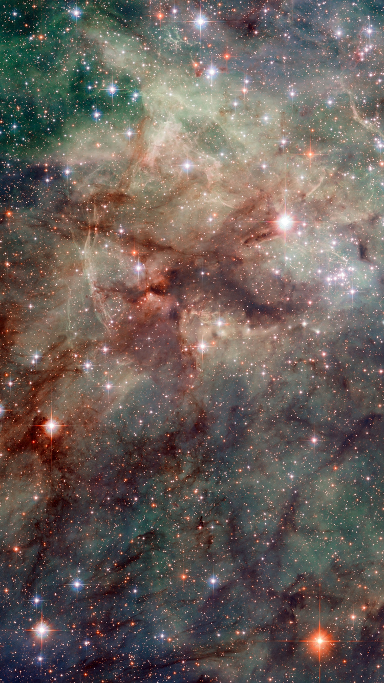 Hubble, Nébuleuse De La Tarentule, Nébuleuse, L'astronomie, Araignée. Wallpaper in 750x1334 Resolution