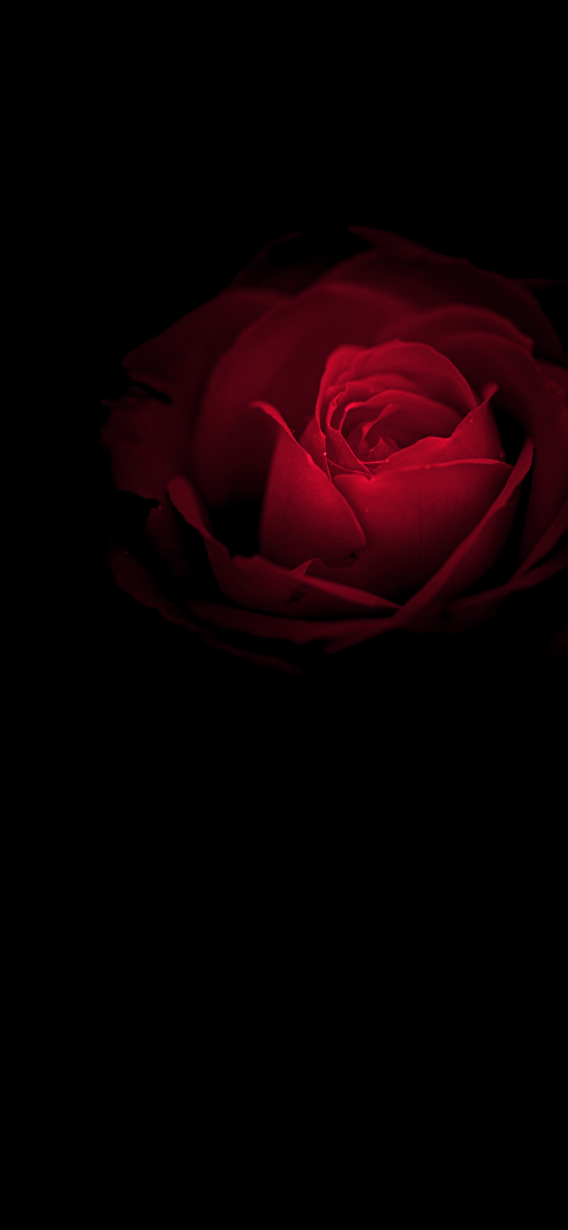 保时捷, 内, Huawei Mate, OLED, Huawei Mate RS 壁纸 1125x2436 允许