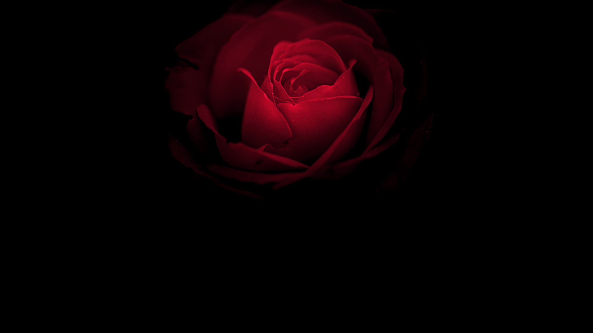 保时捷, 内, Huawei Mate, OLED, Huawei Mate RS 壁纸 1920x1080 允许