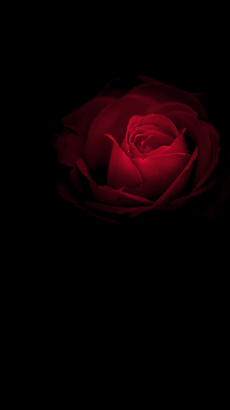 保时捷, 内, Huawei Mate, OLED, Huawei Mate RS 壁纸 750x1334 允许