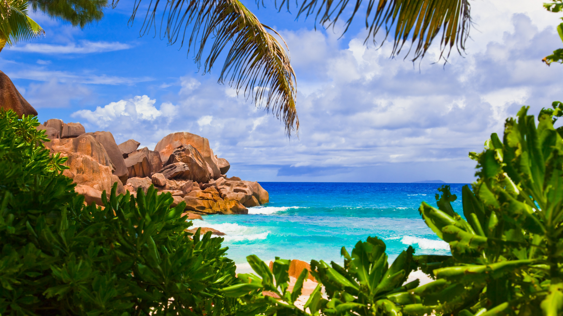 Green Palm Tree Near Brown Rock Formation and Body of Water During Daytime. Wallpaper in 1920x1080 Resolution