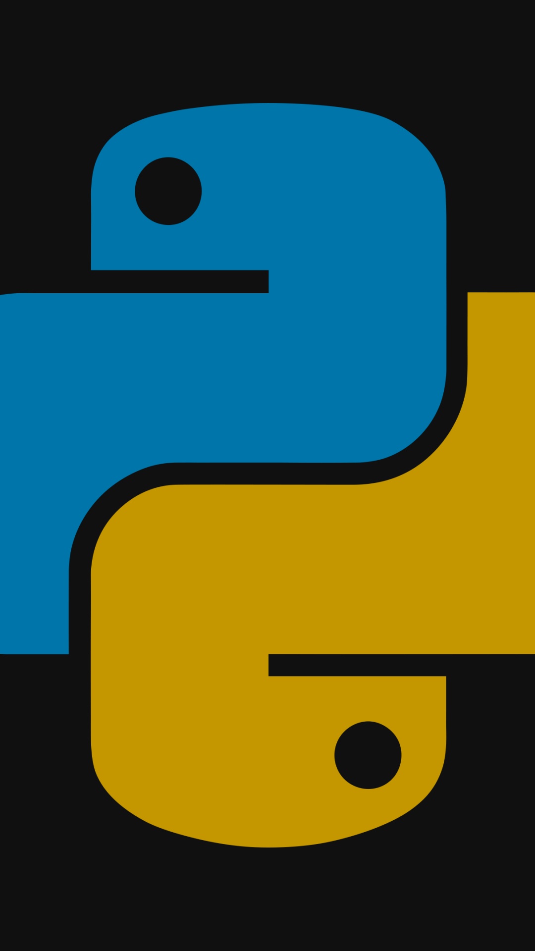 Python Programer, Python, Programming Language, Standing, Source Code. Wallpaper in 1080x1920 Resolution