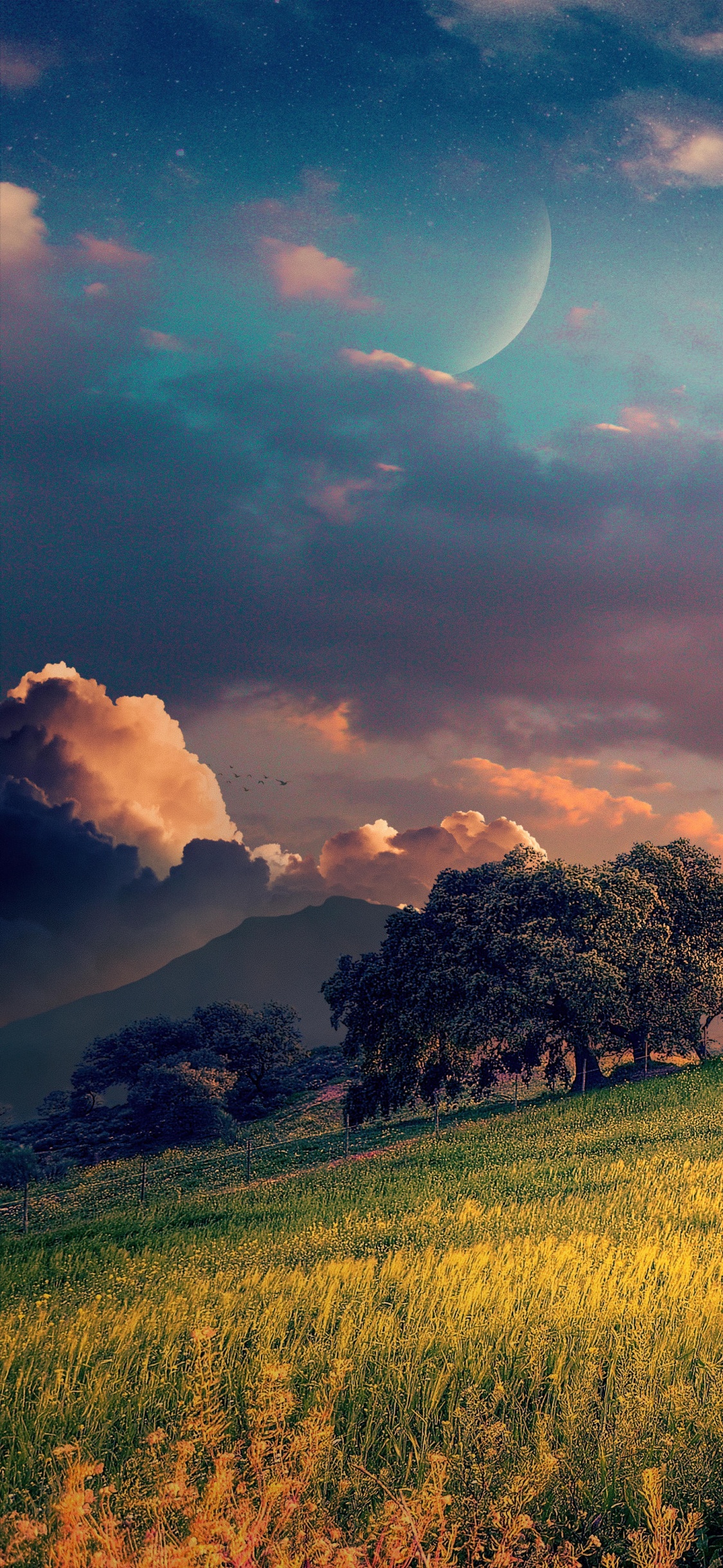Atmosphère, la Journée, L'écorégion, Lumière, Les Gens Dans la Nature. Wallpaper in 1125x2436 Resolution