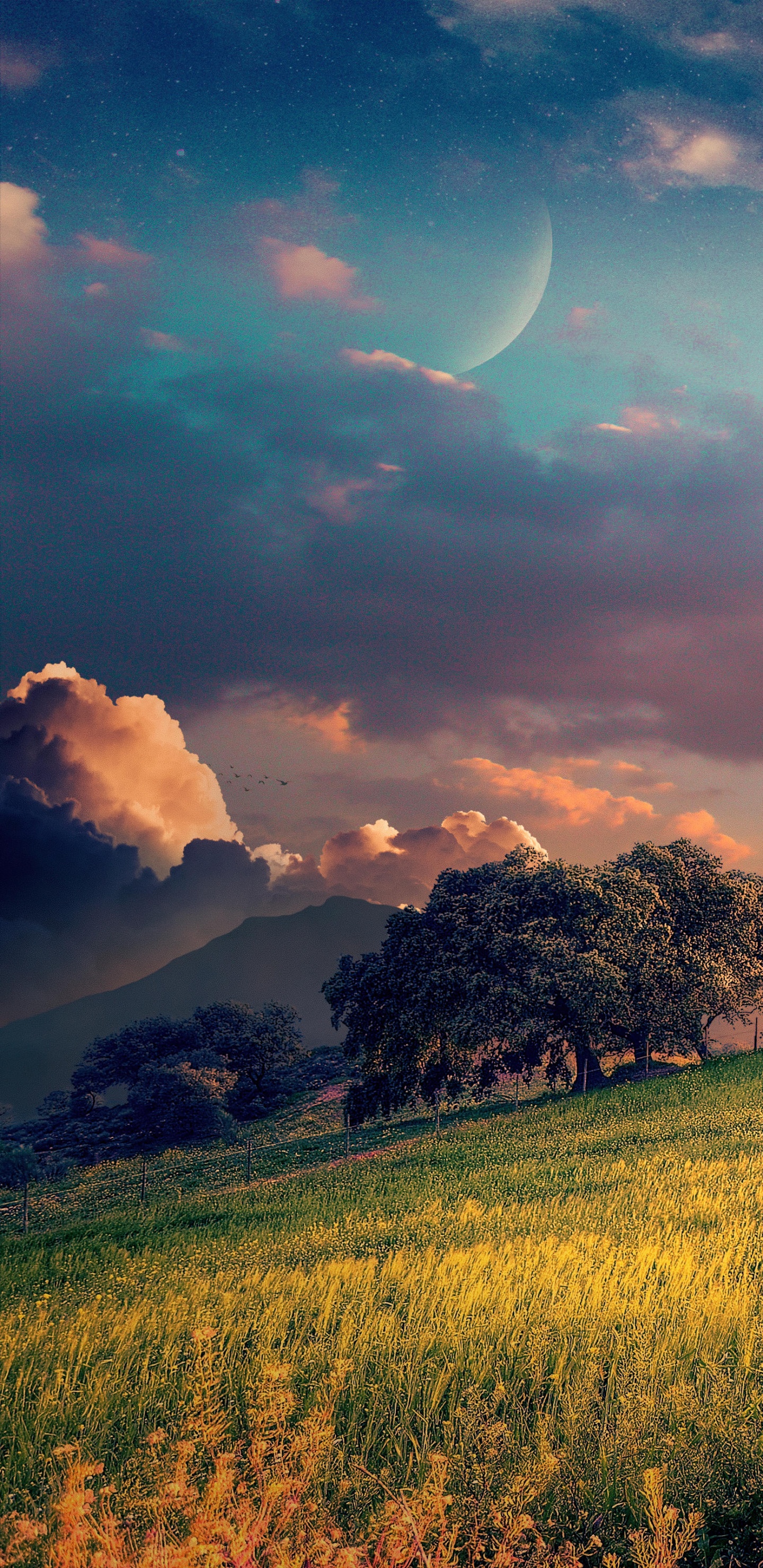 Cloud, Atmosphäre, Tageszeit, Mond, Ökoregion. Wallpaper in 1440x2960 Resolution